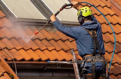 Démoussage et hydrofuge de toiture à Échillais